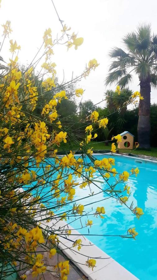 La Ginestra Bed & Breakfast Trani Exterior photo
