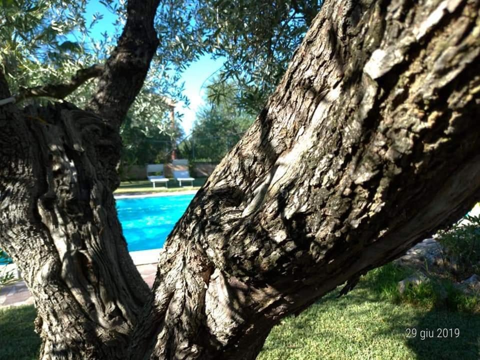 La Ginestra Bed & Breakfast Trani Exterior photo